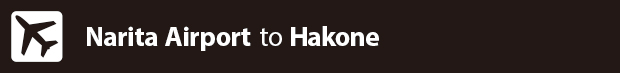 from Narita Airport to Fuji