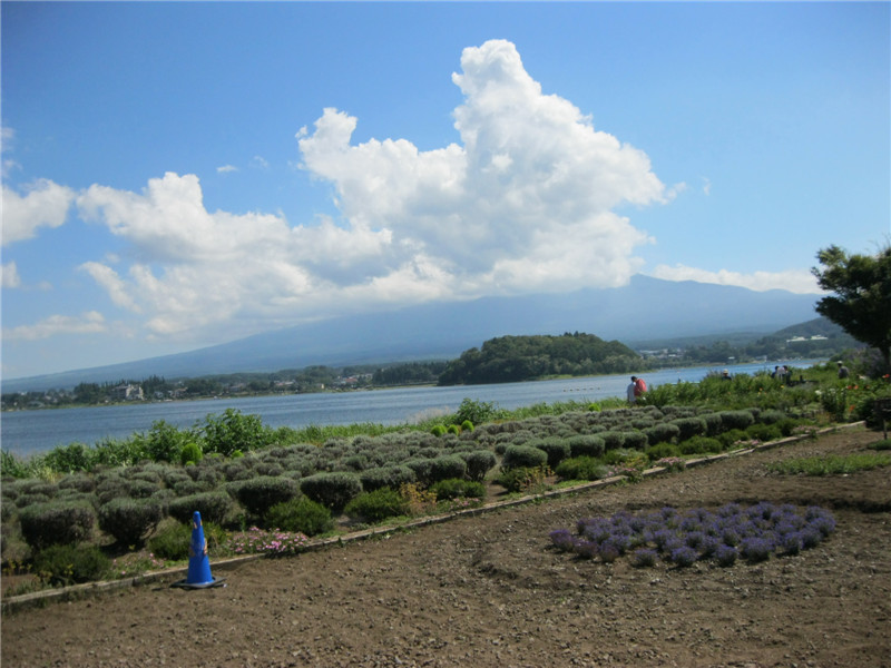 Lake Kawaguchi 14