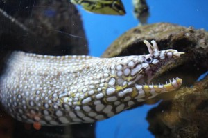 IMG_9259_s
