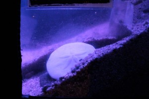 IMG_9317_s